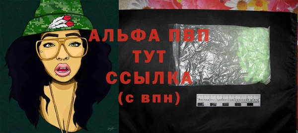 прущие грибы Новодвинск