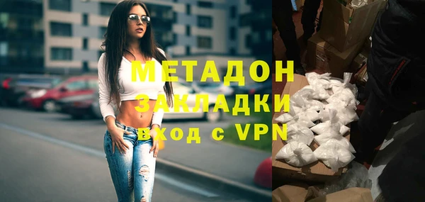 прущие грибы Новодвинск