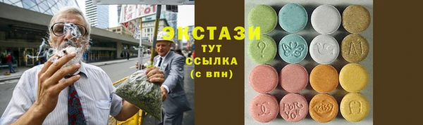 прущие грибы Новодвинск