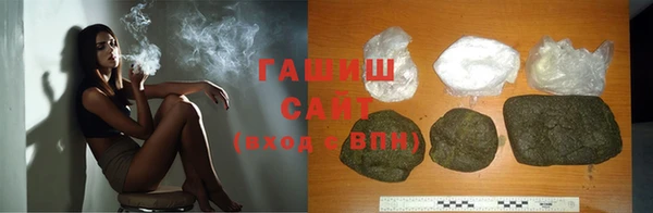 прущие грибы Новодвинск