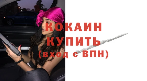прущие грибы Новодвинск