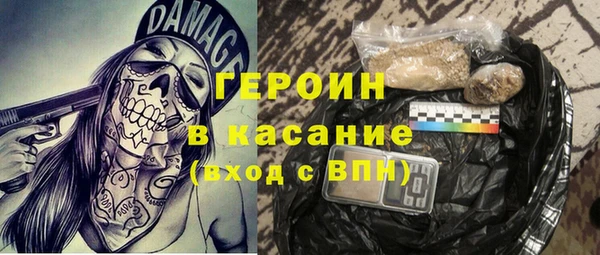 прущие грибы Новодвинск
