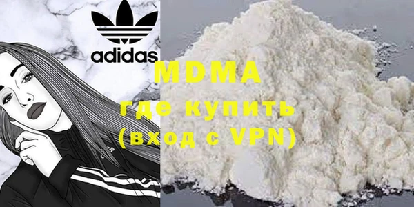 прущие грибы Новодвинск
