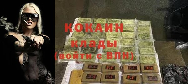 прущие грибы Новодвинск
