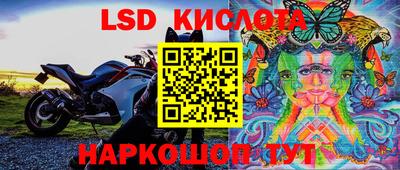 PSILOCYBIN Гусев