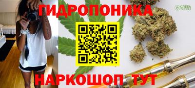 PSILOCYBIN Гусев